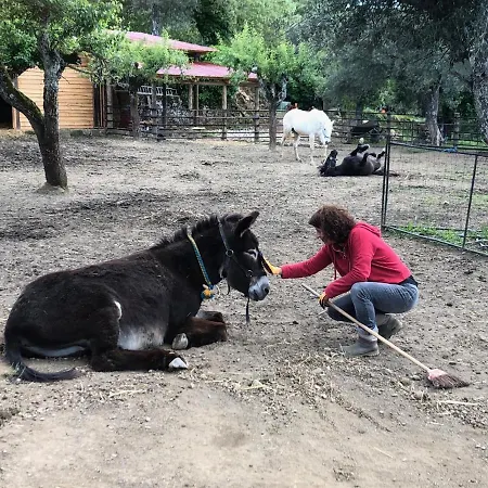 مزرعة للإقامة Quinta Do Ragal