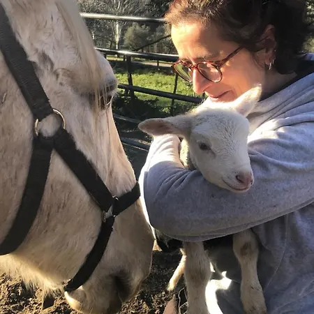 Quinta Do Ragal * Lavacolhos