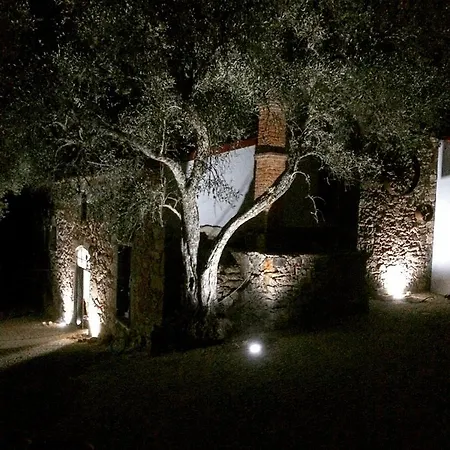 Quinta Do Ragal Bauernhof *