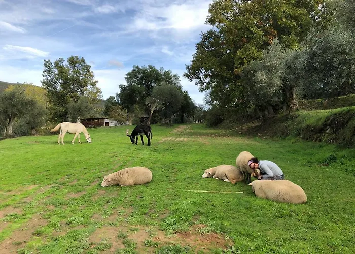 Quinta Do Ragal Alojamento de Turismo Rural Lavacolhos