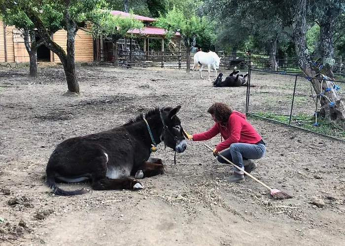 Lantgård Quinta Do Ragal