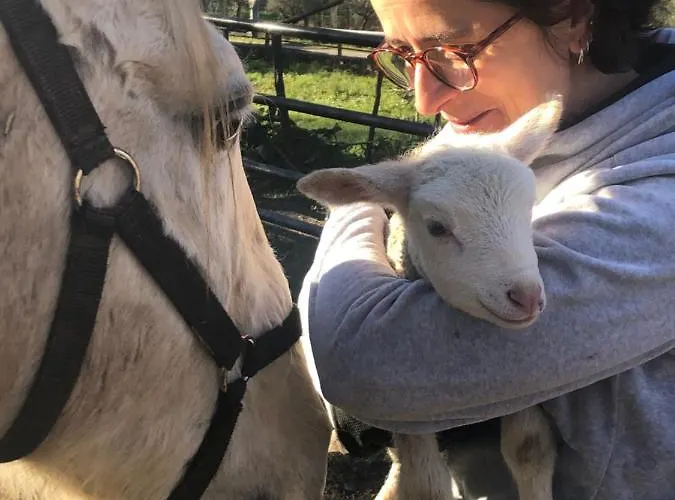 Quinta Do Ragal * Lavacolhos