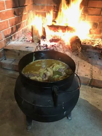 Alojamento de Turismo Rural Quinta Do Ragal *