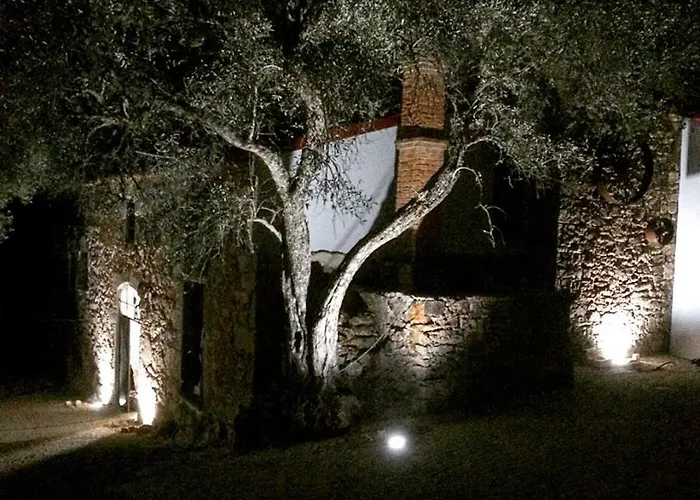 Quinta Do Ragal Alojamento de Turismo Rural *